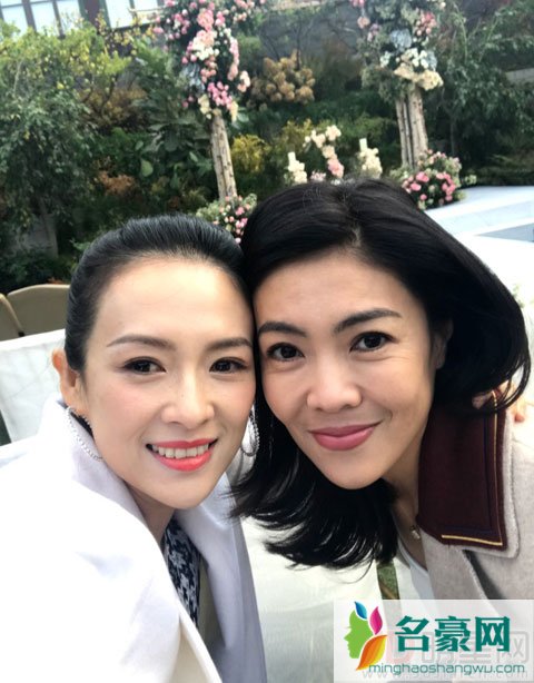 双宋婚礼宾客都穿黑西装 章子怡穿白色衣服遭议论