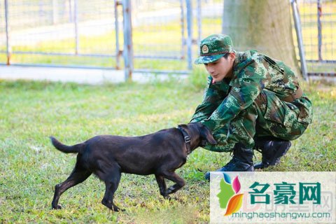 《奇兵神犬》姜潮初入军营尽显萌态 成多动症被教官训哭