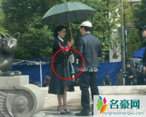 佟丽娅否认怀二胎 都是麦克风惹的祸