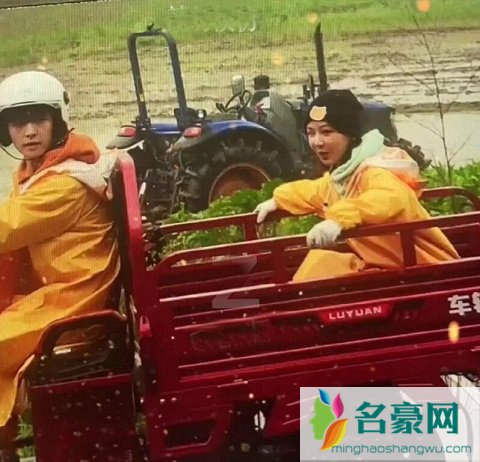 向往的生活5杨紫是哪一期