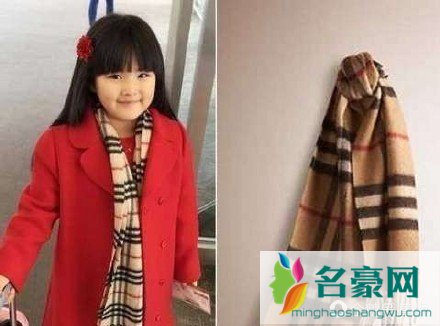 李湘把钱穿身上炫富 人家有这个能力难道非要穿便宜货吗