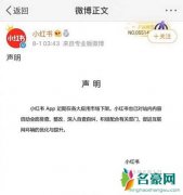 小红书被各大平台下架 小红书启动整改