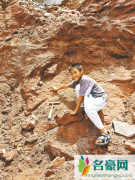 小学生游玩发现恐龙蛋化石 共挖出11枚距今6600万年