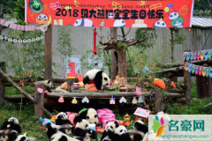 18只熊猫集体庆生 圆滚滚天团大派对