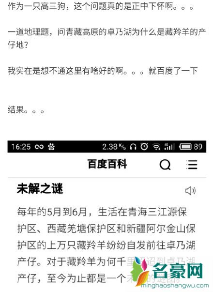 最沙雕的考试题目 学校可能是个幼儿园 最沙雕的考试题目 学校可能是个幼儿园