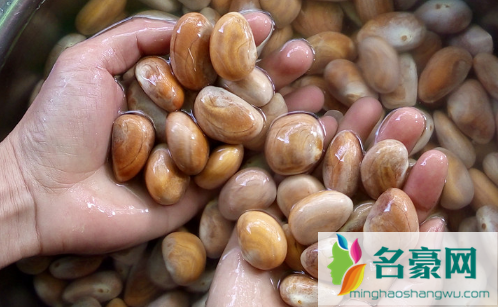 菠萝蜜的核有什么营养1