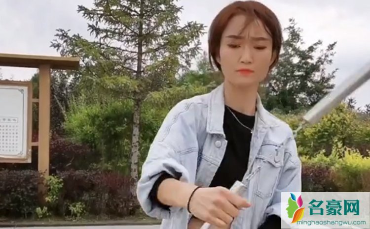 盘龙小燕子