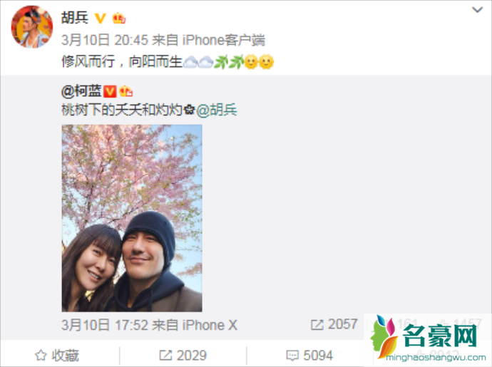 胡兵与柯蓝疑似公布恋情
