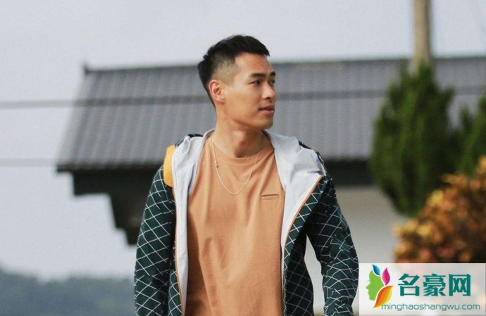 江疏影杨佑宁已经恋爱