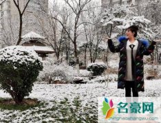 秦羽墨扮演者赵文琪近况怎样 赵文琪为什么不红了