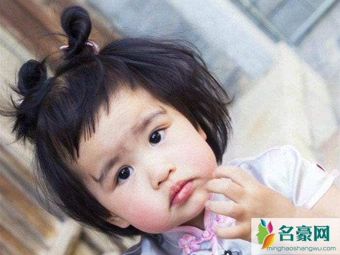 包贝尔和包饺子的综艺