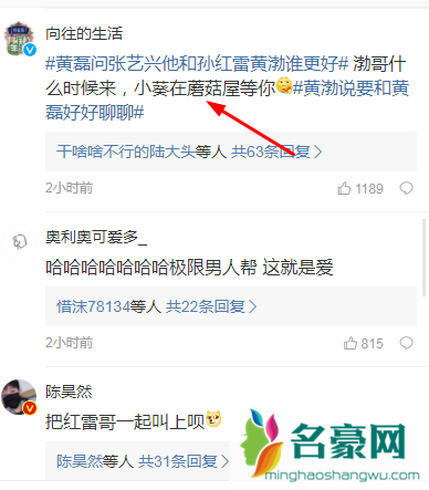 向往的生活第五季黄渤会参加吗3