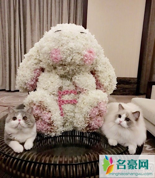 范冰冰李晨七夕秀恩爱 催婚团又上线