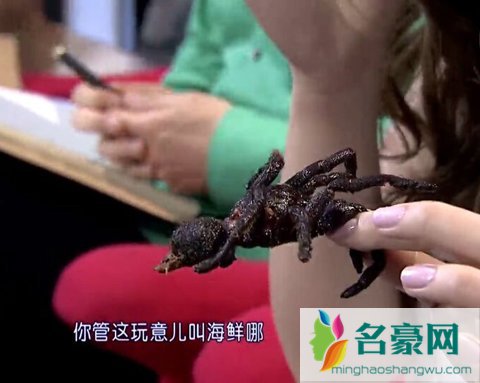柳岩吃蜘蛛孟非认怂 柳岩睡了孟非