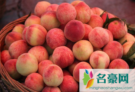 夏天桃子能放几天不会坏3