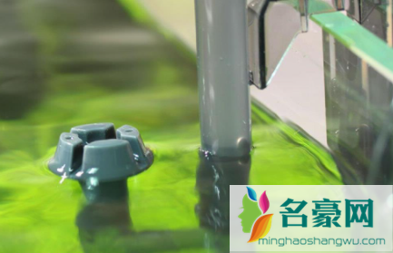 鱼缸水泵不喷水泡是什么原因1
