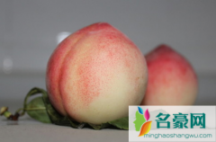 桃子熟透了有点烂能吃 吃桃子对身体有什么好处吗