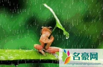 2022年南方冬天下雨冷吗3