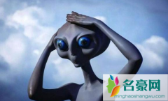 外星人保护中国真的假的 人是外星人做出来的吗