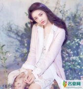 林允名誉权案胜诉 揭秘林允学校早恋欺负女同学的