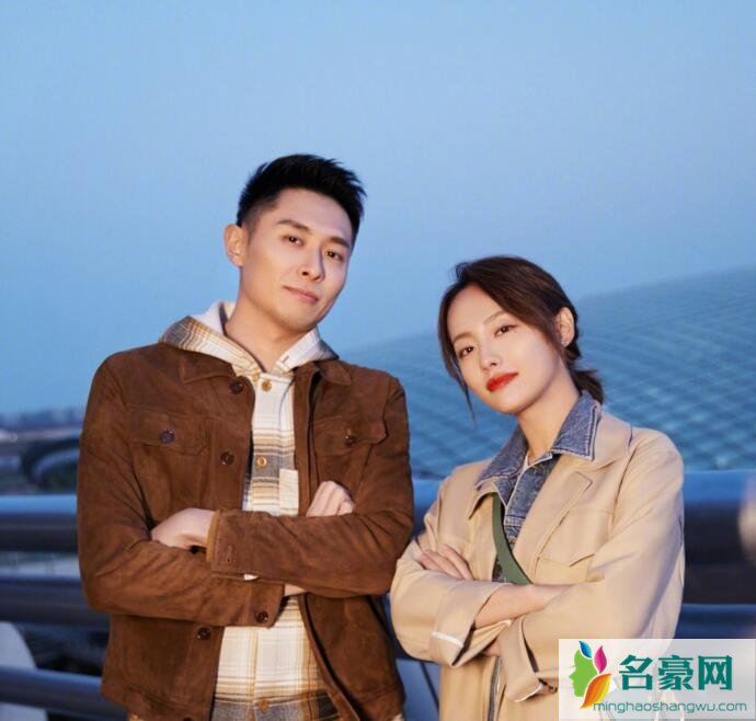 张嘉倪被追经过