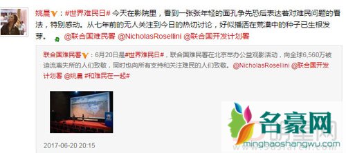 姚晨难民论引争议 声明微博辟谣