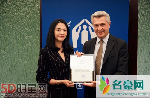 姚晨难民论引争议 声明微博辟谣