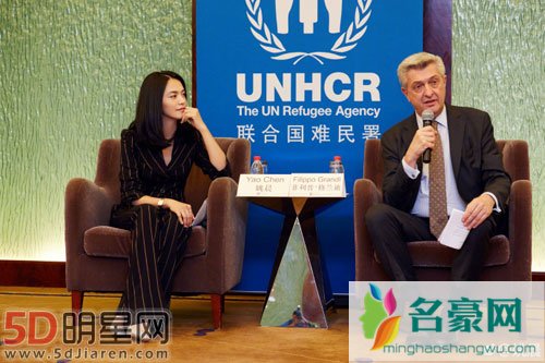 姚晨难民论引争议 声明微博辟谣