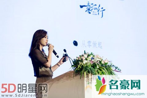 秦海璐执导首部作品《一意孤行》 不走文艺片是动作喜剧