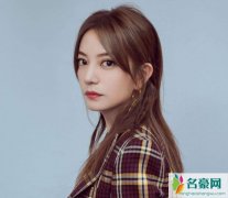 国家为什么不抓赵薇 赵薇坑股民的钱导致如今赵薇