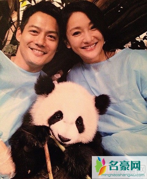 高圣远周迅传离婚被否定 关注下月慈善晚会是否合体