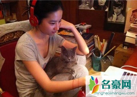 刘亦菲和妈妈长期收留流浪猫 后院最多达到五十多只