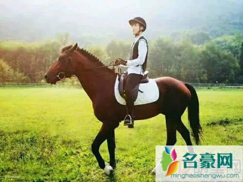 王俊凯高考引关注 笑容满面似有信心