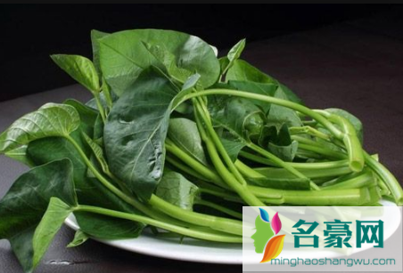 空心菜水培成活率高吗1