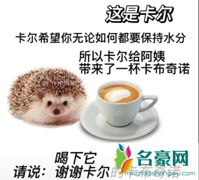 小刺猬卡尔是什么梗7