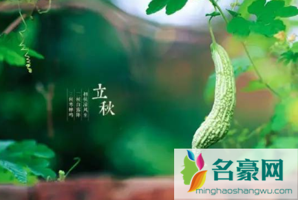 2021年立秋就要贴秋膘吗3