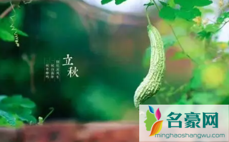 立秋是二伏第几天20211