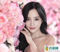 李小璐名誉案胜诉 李小璐和贾乃亮现状曝光李小璐