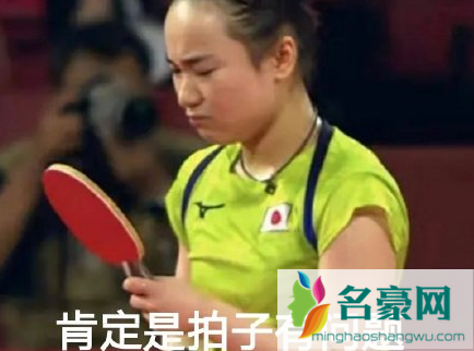 莎气腾腾and你妈骗你是什么意思 你妈骗你是什么梗