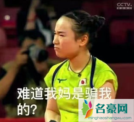 莎气腾腾and你妈骗你是什么意思 你妈骗你是什么梗