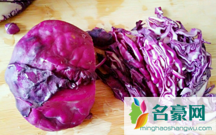 紫甘蓝和圆白菜哪个营养高1