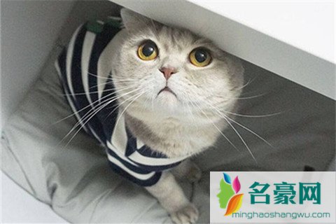 吸引男生的朋友圈
