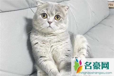 吸引男生的朋友圈3