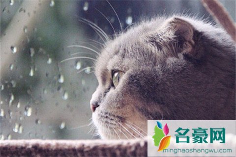 吸引男生的朋友圈1