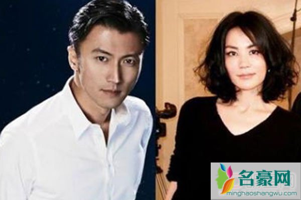 王菲流产谢霆锋痛哭 尽管人言可畏但她还是义无反顾地和谢在一起