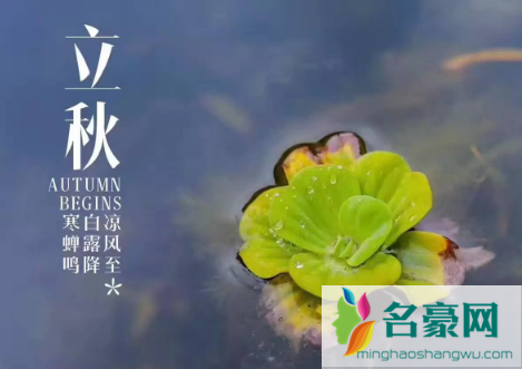 东北2021立秋后天气还热多久3