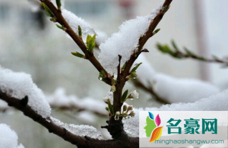 2022年春节过后会有倒春寒吗2