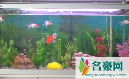 加热棒25w用多大鱼缸2
