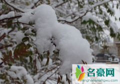 东北看雪景一般几月份2022 东北一般下雪下多久