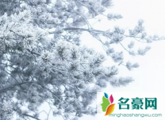 东北2022年冬天天天下雪吗 今年东北冬天雪多不多